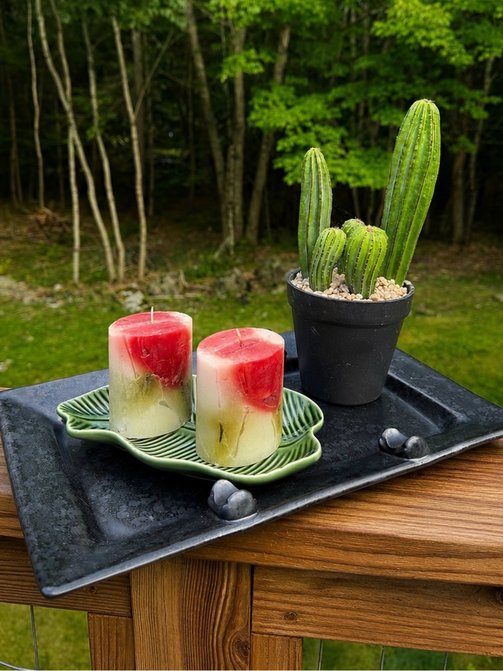 Nature-Inspired Candle & Cactus Vignette
